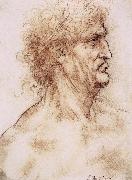 LEONARDO da Vinci Profile one with book leaves gekroten of old man oil on canvas